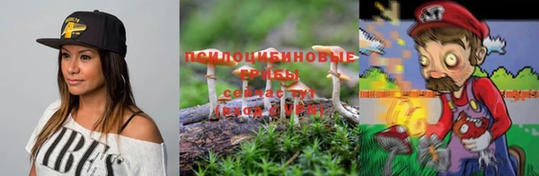 спайс Беломорск