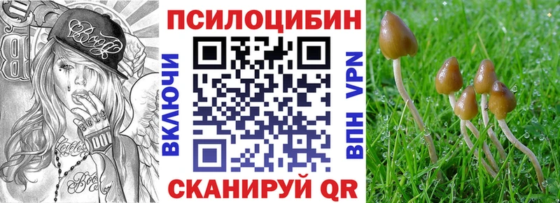 KRAKEN ТОР  Ворсма  Галлюциногенные грибы ЛСД 